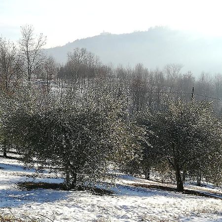 Sotto La Luna Bruna B&B Cocconato Εξωτερικό φωτογραφία