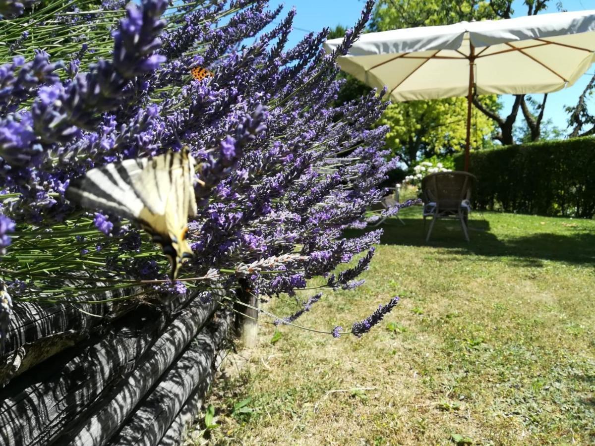 Sotto La Luna Bruna B&B Cocconato Εξωτερικό φωτογραφία