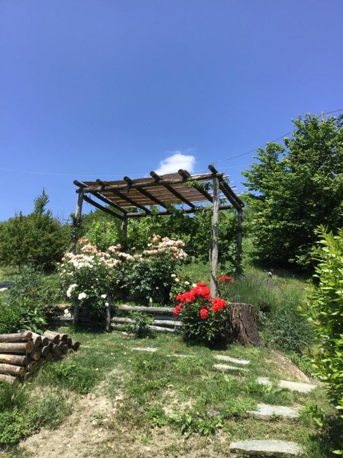 Sotto La Luna Bruna B&B Cocconato Εξωτερικό φωτογραφία