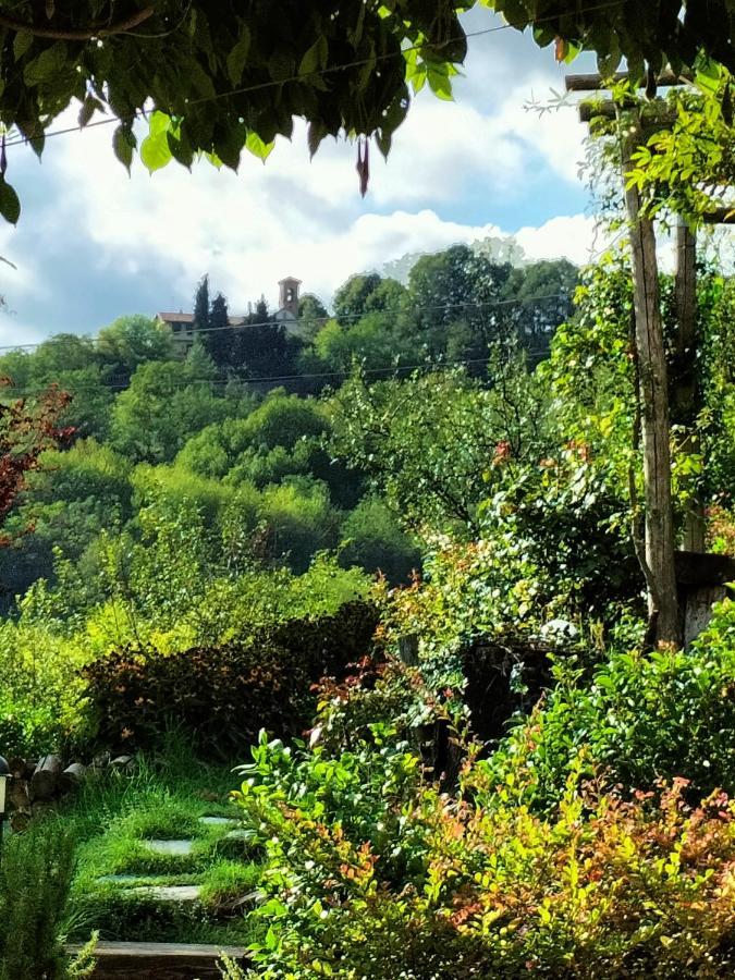 Sotto La Luna Bruna B&B Cocconato Εξωτερικό φωτογραφία