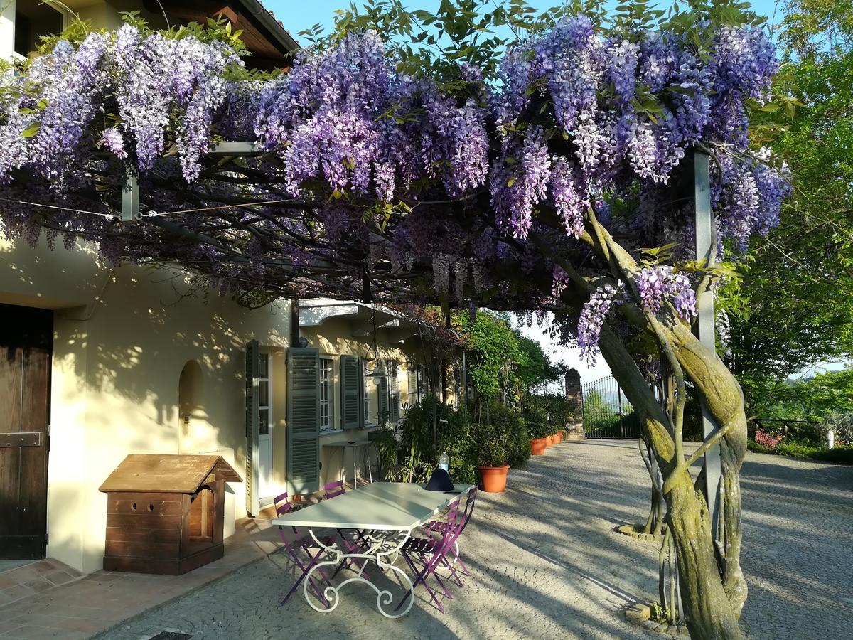 Sotto La Luna Bruna B&B Cocconato Εξωτερικό φωτογραφία