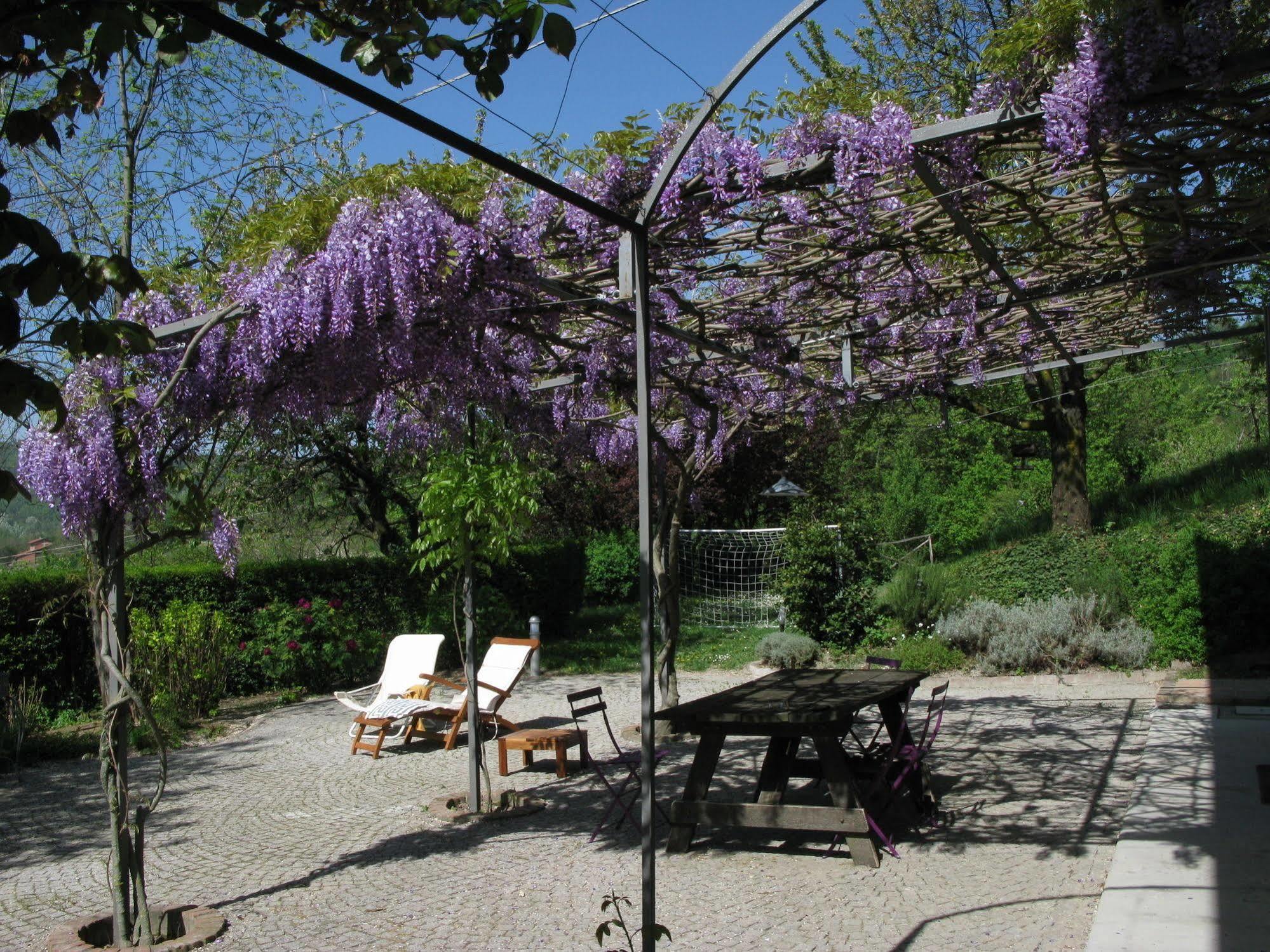 Sotto La Luna Bruna B&B Cocconato Εξωτερικό φωτογραφία
