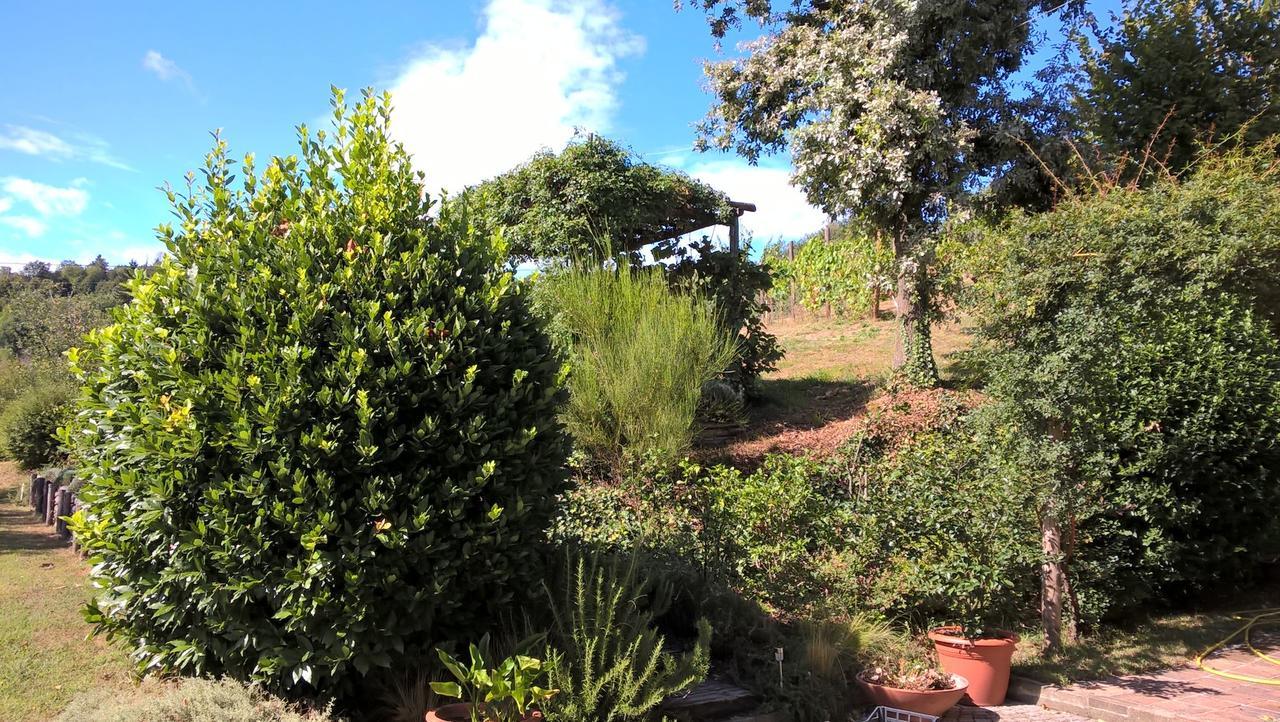 Sotto La Luna Bruna B&B Cocconato Εξωτερικό φωτογραφία
