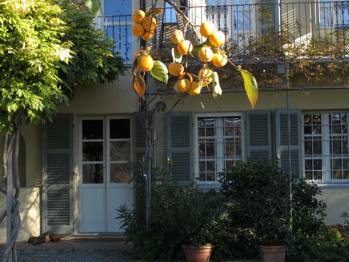 Sotto La Luna Bruna B&B Cocconato Εξωτερικό φωτογραφία